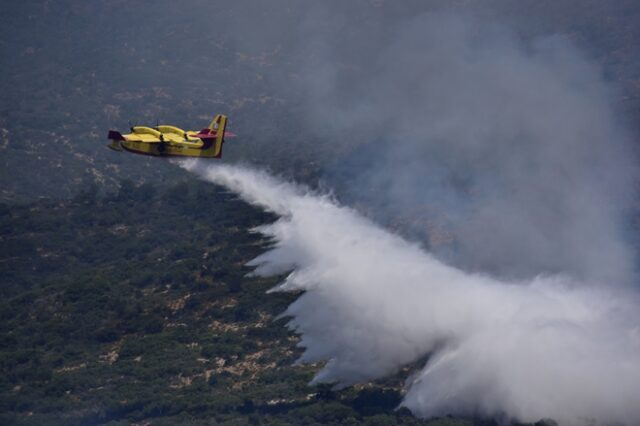 Φωτιά στις Θεσπιές Βοιωτίας