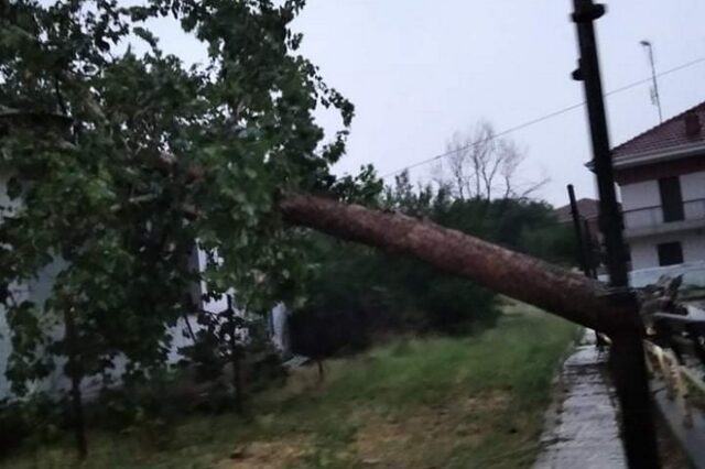 Προβλήματα από την κακοκαιρία: Χαλάζι στη Β. Ελλάδα- Δέντρο έπεσε σε σπίτι