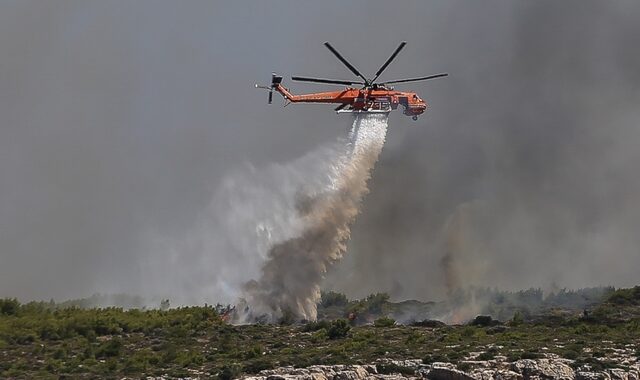 Φωτιές σε Άνδρο και Ηλεία: Εκκενώθηκε προληπτικά ένας μικρός οικισμός, σε ετοιμότητα άλλοι δύο