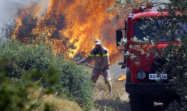 Φωτιά στο Ρέθυμνο: Μάχη σε πολλαπλά μέτωπα – Εκκενώθηκαν έξι οικισμοί