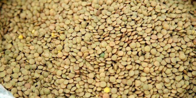 ΕΦΕΤ: Ανακαλεί φακές ψιλές προέλευσης Καναδά