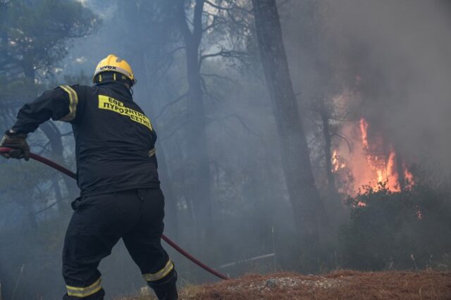 Φωτιά στην Ερμιονίδα – Ισχυρές δυνάμεις στο σημείο