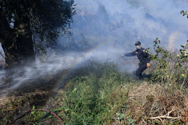 Οριοθετήθηκε η φωτιά στην Ηλεία – Καλύτερη εικόνα στην Άνδρο