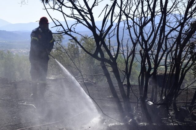 Οριοθετήθηκε η φωτιά στους Ραπταίους Καρύστου – Υπό μερικό έλεγχο στην Αχαΐα