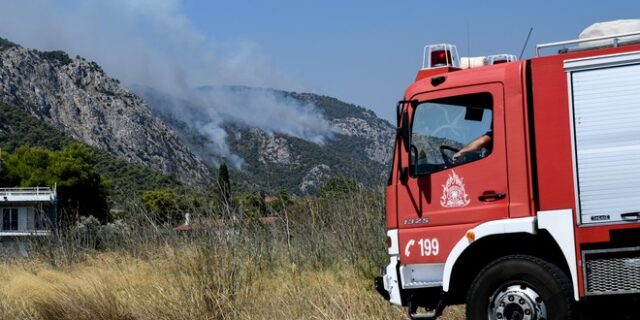 Σε εξέλιξη φωτιές σε Λαγκαδά και Τριφυλία