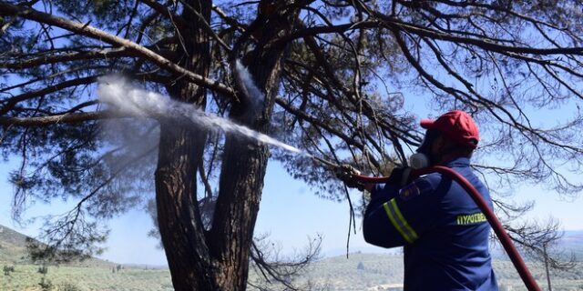 Φωτιά στην Άνδρο – Σε ετοιμότητα η κοινότητα Καππαριά για εκκένωση αν χρειαστεί