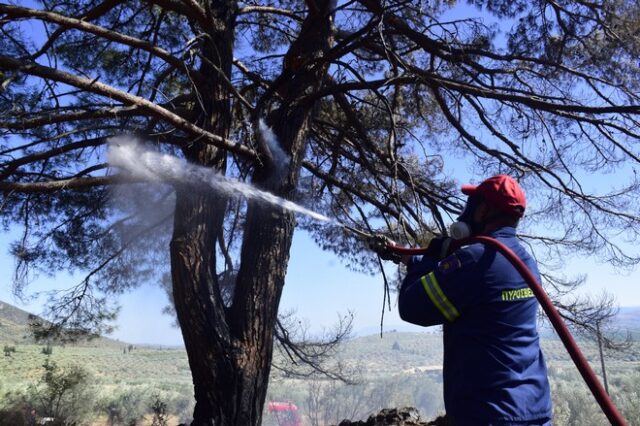 Φωτιά στην Άνδρο – Σε ετοιμότητα η κοινότητα Καππαριά για εκκένωση αν χρειαστεί