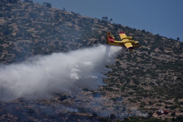 Μεσσηνία: Υπο έλεγχο η φωτιά σε δασική έκταση