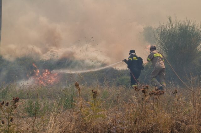 Ηλεία: Σε δύο μέτωπα κινείται η φωτιά – Σε ετοιμότητα οι κάτοικοι στο Χελιδόνι
