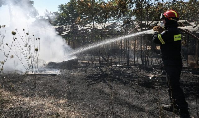 Συναγερμός στην Πυροσβεστική για φωτιές τα ξημερώματα σε Γέρακα και Άγιο Στέφανο