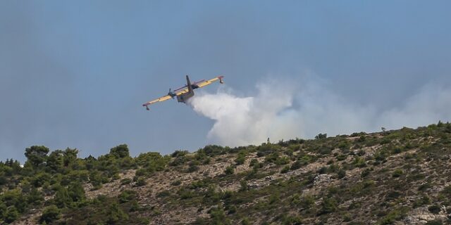 Σε ύφεση η φωτιά στην Λαυρεωτική-Έρευνα για το ενδεχόμενο εμπρησμού