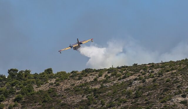 Φωτιά στη Λαυρεωτική: Μάχη για να μην απειληθούν οικισμοί και ο εθνικός δρυμός