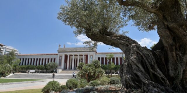 Εθνικό Αρχαιολογικό Μουσείο: “Νέος” κήπος με 6.000 φυτά και αντιβανδαλιστικό φωτισμό