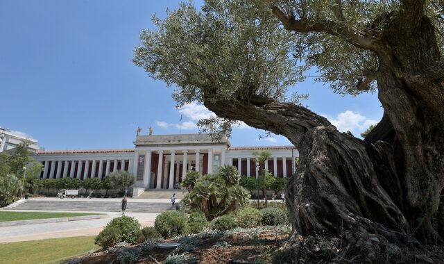 Εθνικό Αρχαιολογικό Μουσείο: “Νέος” κήπος με 6.000 φυτά και αντιβανδαλιστικό φωτισμό