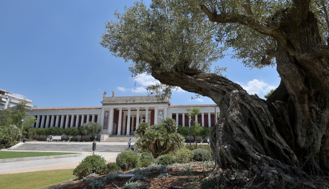 Εθνικό Αρχαιολογικό Μουσείο: “Νέος” κήπος με 6.000 φυτά και αντιβανδαλιστικό φωτισμό