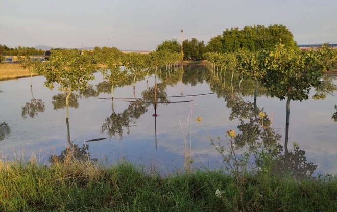 Λάρισα: Χαλάζι κατέστρεψε εκατοντάδες στρέμματα καλλιεργειών