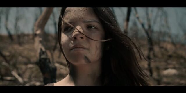 “Το τελευταίο δέντρο”: Ένα φιλμ που δεν ξεχνάει την αλήθεια για το Μάτι