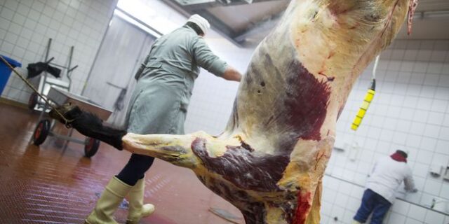 Γερμανία: Εργασιακός μεσαίωνας σε σφαγεία περιοχής με lockdown