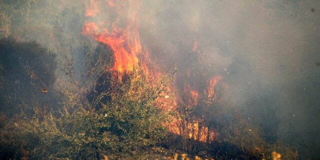 Νέα φωτιά στην Ζαχάρω – Νεκρός άντρας από το άλογό του που αφηνίασε