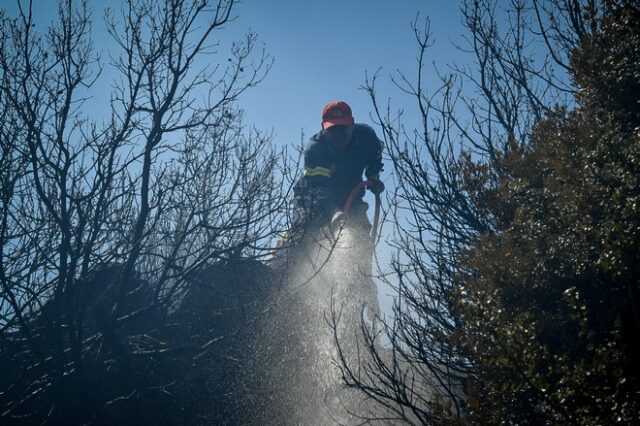 Σε εξέλιξη νέα φωτιά στο Γραμματικό Ηλείας