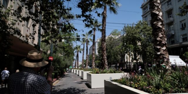 “Μεγάλος Περίπατος”: Μπήκαν οι φοίνικες στην Πανεπιστημίου – Πόσο κοστίζουν