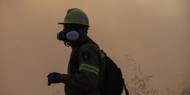 Φωτιά σε δασική έκταση στα Παλιάμπελα Βόνιτσας