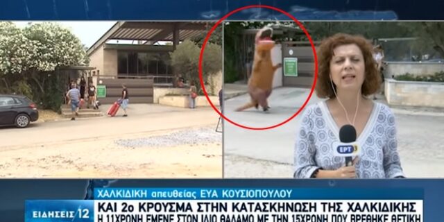 “Δεινόσαυρος” τρέχει πίσω από ρεπόρτερ – Το βίντεο που έγινε viral