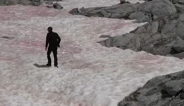 Ροζ πάγος στις Άλπεις – Ανησυχούν οι επιστήμονες