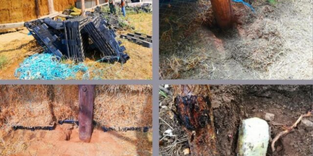Θεσσαλία: Συστηματική διακίνηση ηρωίνης και πλήθος κλοπών από δύο συνεργαζόμενες συμμορίες