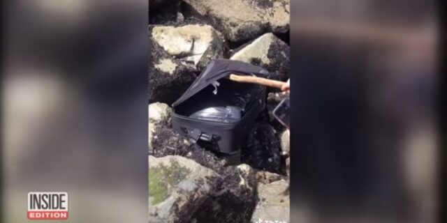 Σιάτλ: Γύριζαν βίντεο για το TikTok – Ανακάλυψαν δύο πτώματα σε σακούλες