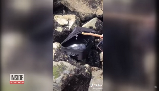 Σιάτλ: Γύριζαν βίντεο για το TikTok – Ανακάλυψαν δύο πτώματα σε σακούλες