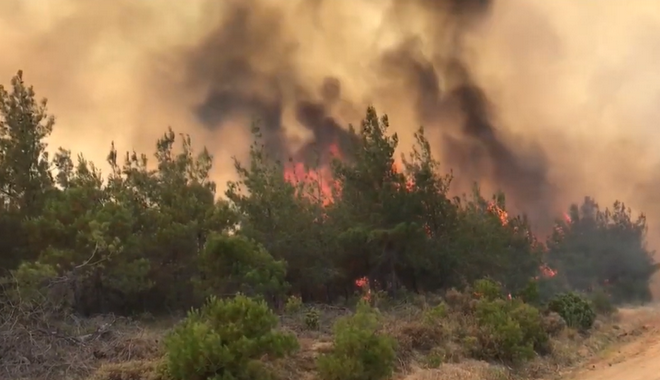 Τουρκία: Μεγάλη φωτιά σε δάσος της Καλλίπολης