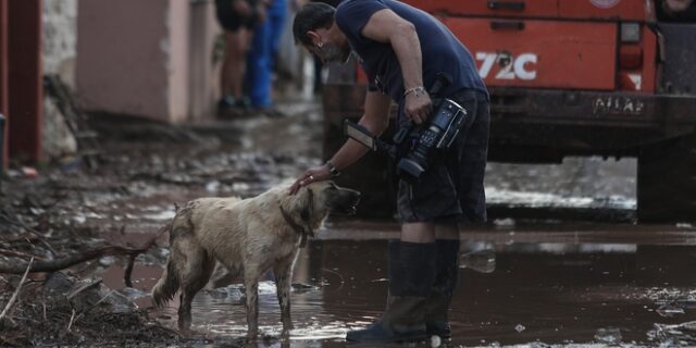 Εύβοια: Πόσα χιλιοστά νερού έπεσαν πραγματικά;