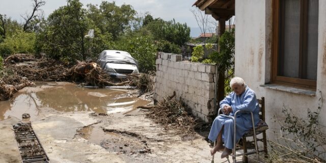 Εύβοια – Μαρτυρία: “Δέσαμε παππού και γιαγιά στο δέντρο για να τους σώσουμε”