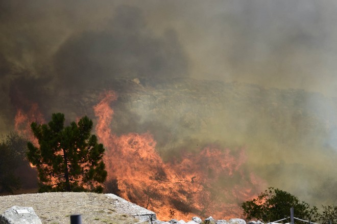 Οικολόγοι Πράσινοι: “Κάηκαν οι Μυκήνες. Τόσο απλά”