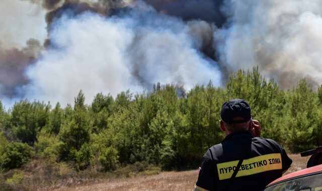 Φωτιά στη Μάνη: Διπλό μέτωπο μεταξύ Γυθείου και Αρεόπολης – Φόβοι για εμπρησμό