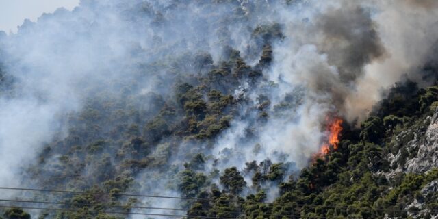 Μεσσηνία: Φωτιά σε δασική έκταση