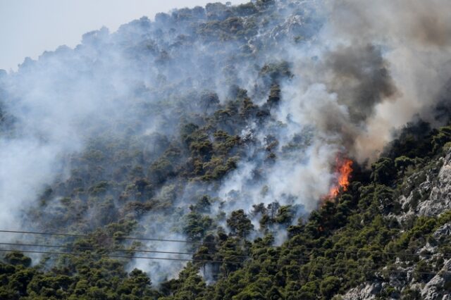 Μεσσηνία: Φωτιά σε δασική έκταση