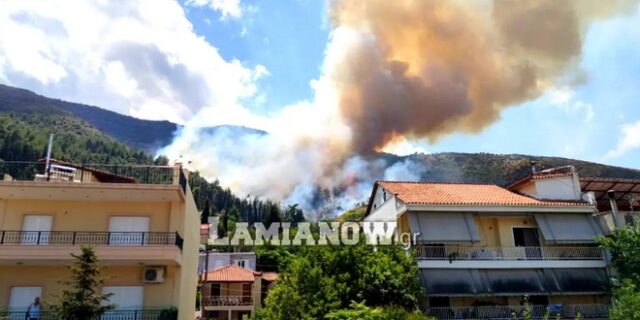 Υπό έλεγχο η φωτιά στην Αταλάντη