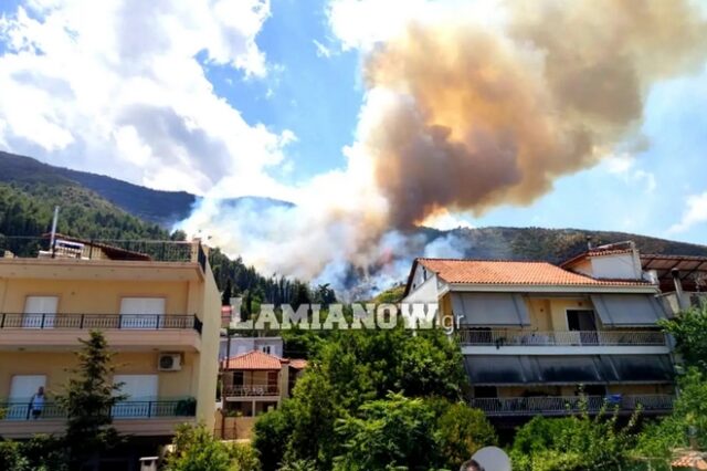 Υπό έλεγχο η φωτιά στην Αταλάντη