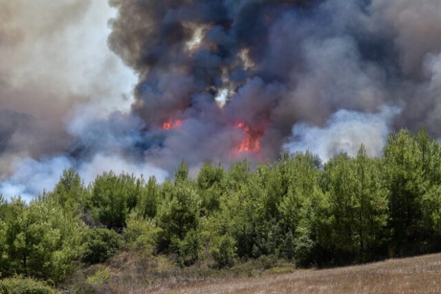 Εύβοια: Οριοθετήθηκε η φωτιά στις Ροβιές