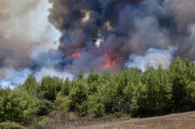 Τρίτη φωτιά στην Λακωνία αυτή την φορά στην Πελλάνα