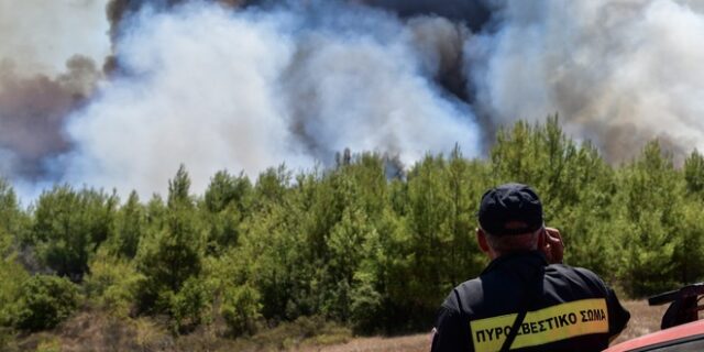 Νέα φωτιά στην Τσαριτσάνη Ελασσόνας