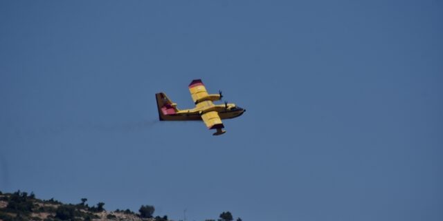 Οριοθετήθηκε η φωτιά στην Ροδόπολη