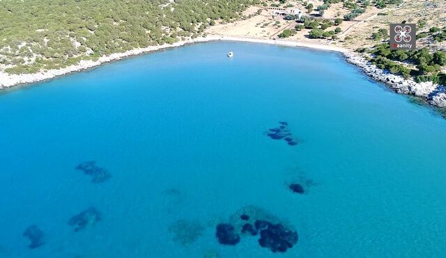 Το πιο εξωτικό μαντρί της Ελλάδας