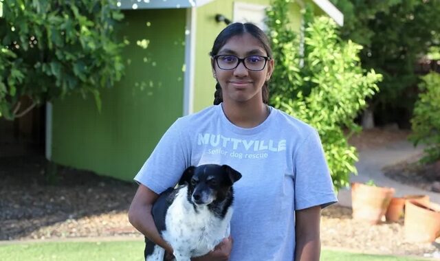 Μια υιοθετημένη 14χρονη βοηθάει σκυλιά να βρουν ένα σπίτι