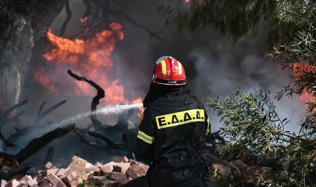 Υπό μερικό έλεγχο η φωτιά στην Αταλάντη