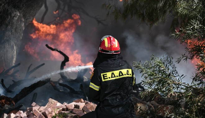 Φωτιά στην Κεφαλονιά: Ενισχύθηκαν οι πυροσβεστικές δυνάμεις – Εκκενώθηκε οικισμός