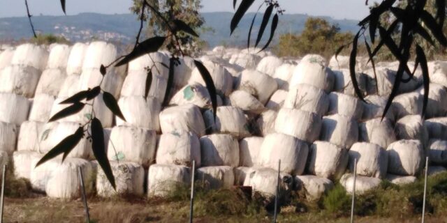Πύργος: “Υγειονομική βόμβα” με 100.000 δεματοποιημένα σκουπίδια στον Αλφειό