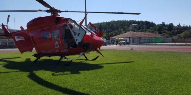 Φθιώτιδα: Μεγάλη χασισοφυτεία εντοπίστηκε στην Τραγάνα